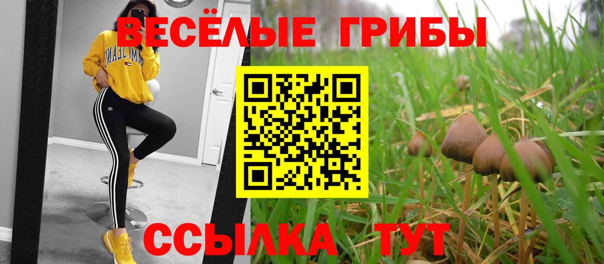 Псилоцибиновые грибы GOLDEN TEACHER Мыски